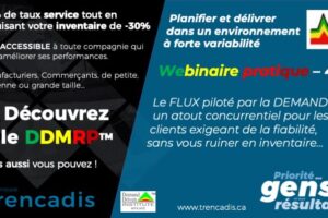 DDMRP Webinaire Pratique