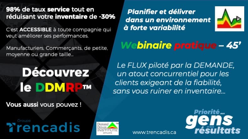 DDMRP Webinaire Pratique